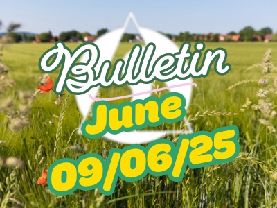 Bulletin June 6th